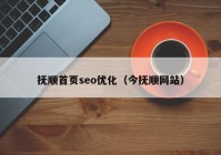 抚顺首页seo优化（今抚顺网站）