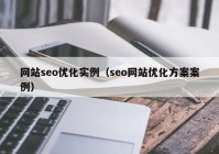 网站seo优化实例（seo网站优化方案案例）