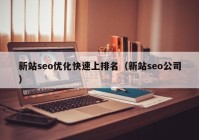 新站seo优化快速上排名（新站seo公司）